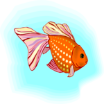 Goldfish 14 Clip Art