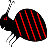 Insect 10