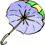 Umbrella 30