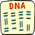 DNA Report Clip Art