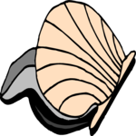 Clam 4 Clip Art