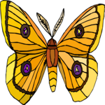 Moth 05 Clip Art