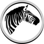 Zebra 01