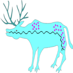 Deer 08