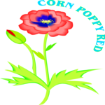 Corn Poppy Red Clip Art