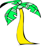 Palm Tree 33