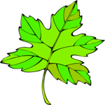Leaf 106