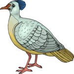 Bird 149 Clip Art