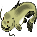 Catfish 7 Clip Art