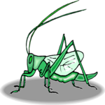 Grasshopper 10 Clip Art