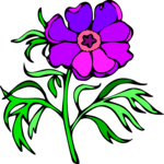 Peony 5 Clip Art