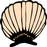 Sea Shell 33 Clip Art