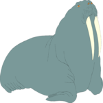 Walrus 02 Clip Art