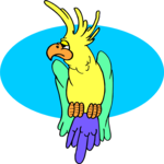 Cockatoo Clip Art