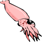 Squid 02 Clip Art