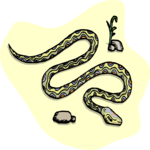 Snake 14 Clip Art
