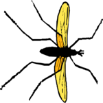 Insect 1 Clip Art
