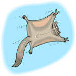 Flying Squirrel 1 Clip Art