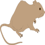 Mouse 04 Clip Art