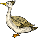 Bird 153 Clip Art