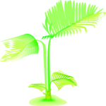 Palm Fronds 2