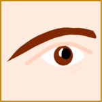 Eye & Eyebrow Clip Art