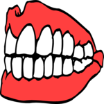 Teeth 2 Clip Art