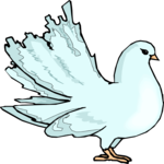 Pigeon 11 Clip Art