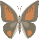 Butterfly 111 Clip Art