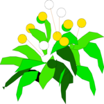 Plant 018 Clip Art