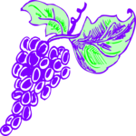 Grapes 29 Clip Art