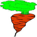 Carrot 21 Clip Art