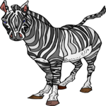 Zebra 15