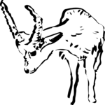 Antelope 03