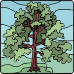 Tree 206