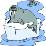 Walruses Clip Art