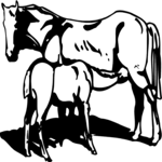 Horse & Colt 1 Clip Art