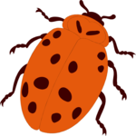 Ladybug 3 Clip Art