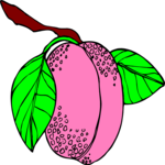 Peach 14 Clip Art