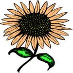 Sunflower 9 Clip Art
