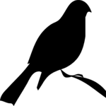 Bird 12 Clip Art