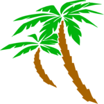 Palm Trees 06