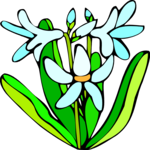 Hyacinth Clip Art
