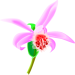 Orchid 2 Clip Art
