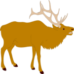 Elk 2 Clip Art