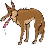 Coyote - Hungry Clip Art