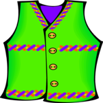 Vest 1