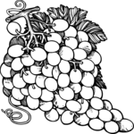 Grapes 2 (2) Clip Art