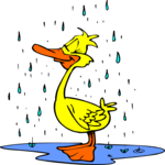 Duck in Rain 2 Clip Art