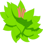 Plant 057 Clip Art